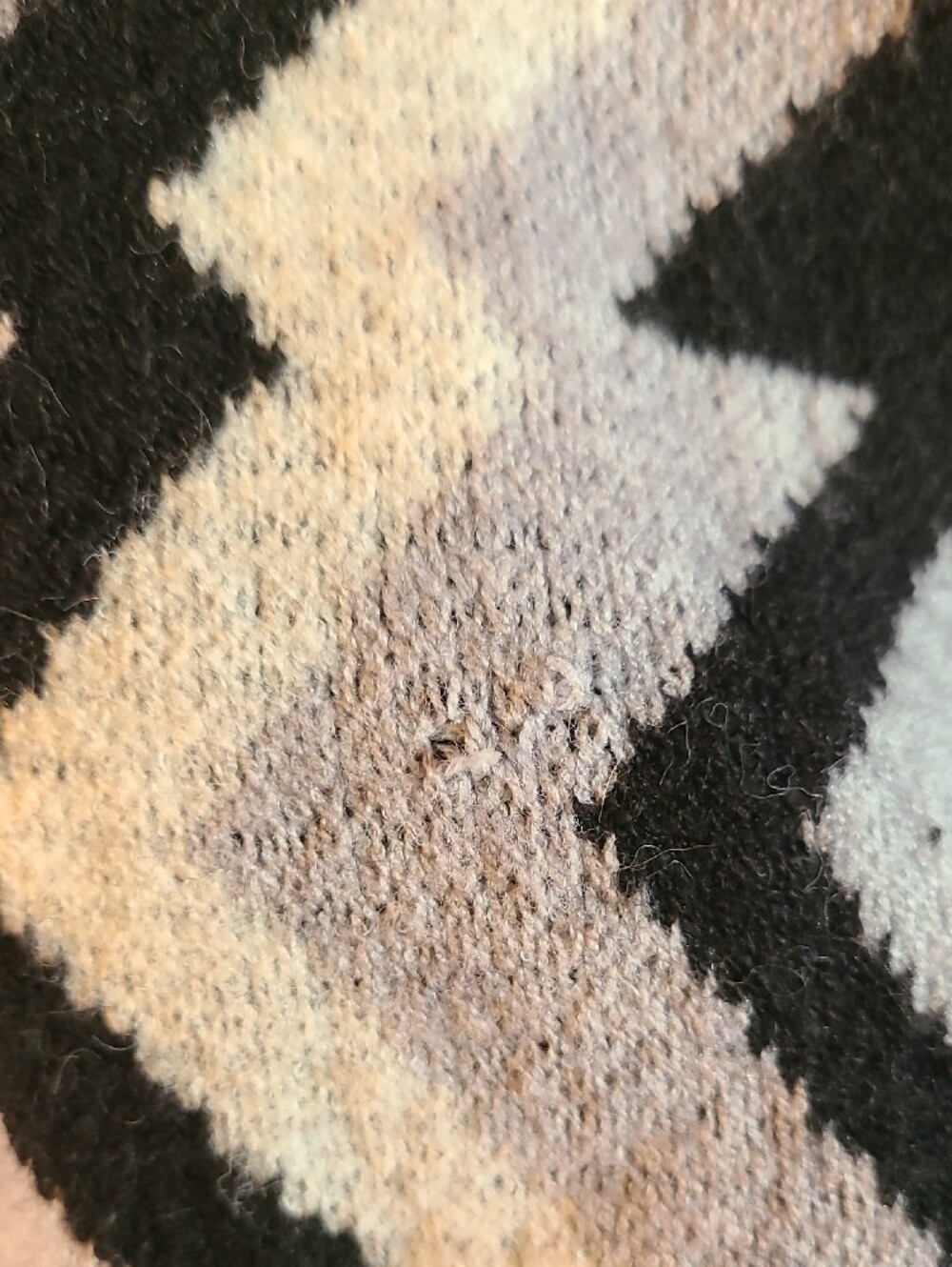 ANDTHEWHY - Picture 4 of 4